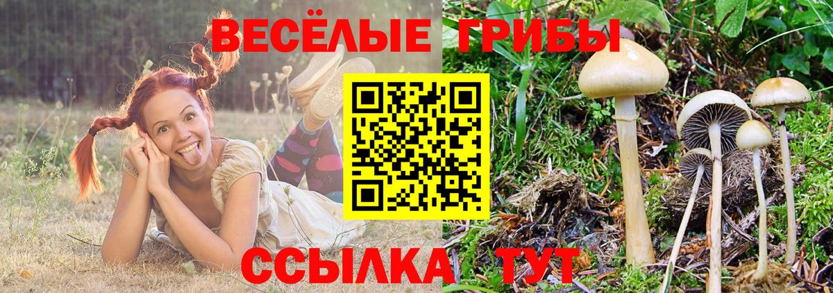 Канабис Артём