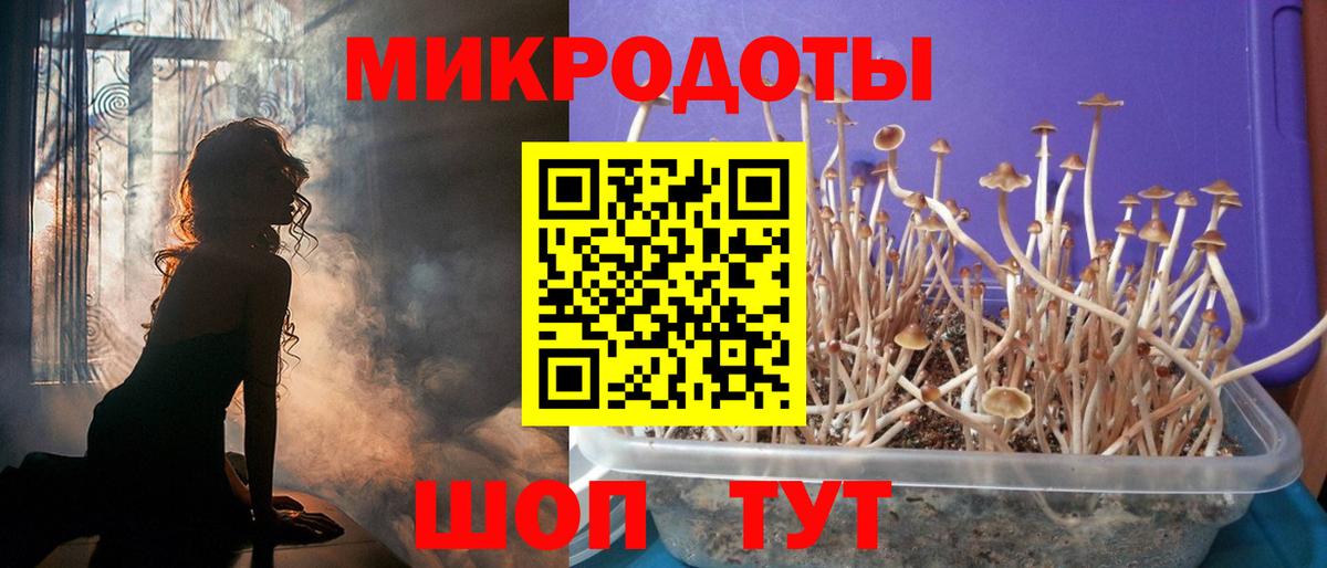 Псилоцибиновые грибы Psilocybine cubensis  Вход с VPN  Артём 